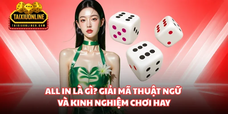 all in là gì